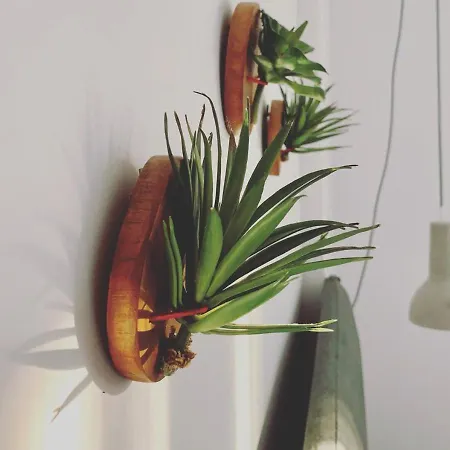 Pefkides Apartmán *