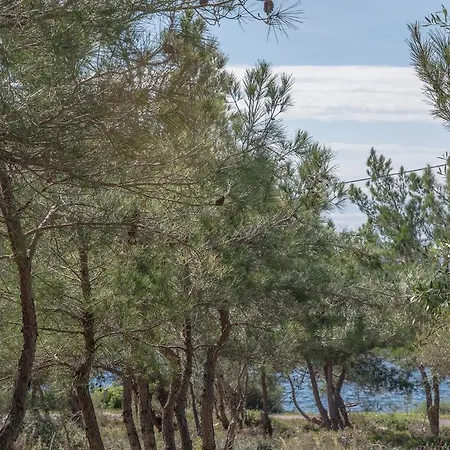 Pefkides * Marathopoli