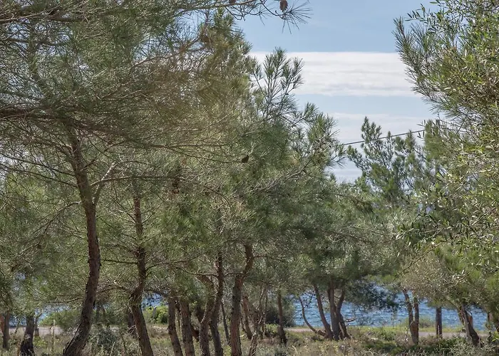 Pefkides * 马拉松波利斯