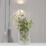 Pefkides * Μαραθόπολη