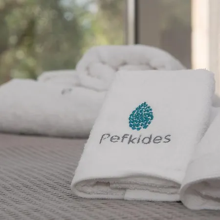 Apartment Pefkides Marathopoli